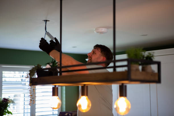 Best Electric Panel Repair  in Charleroi, PA